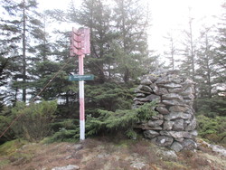 Medfjellsvarden