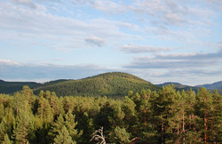 Skurufjell