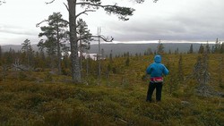 Skonhovdhøgda