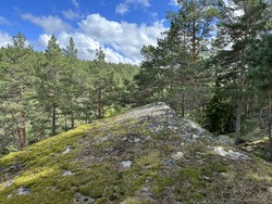 Midtåsen
