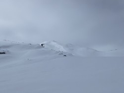 Skardseggi