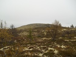 Galtåsknappen
