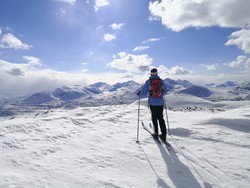 Skjerallen Østre