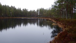 Karlstjern