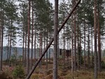 Brenninga
