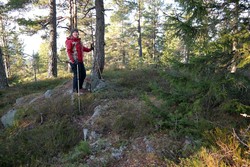 Kjeksrødhvittingen