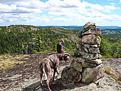 Vardefjell