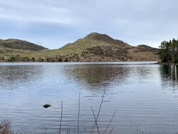 Melsknuten