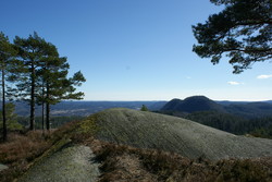 Barlindåsen