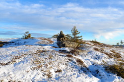 Skinnfjellet