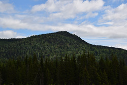 Neverkollen