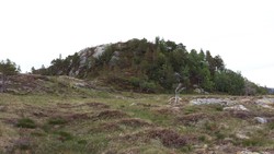 Grasvatnknubben