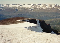 Dumhøe Nord