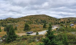 Rødungshovda