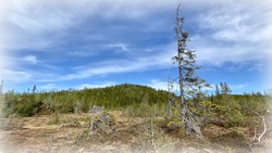 Vaggeldalsåsen