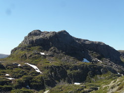 Kvitenuten