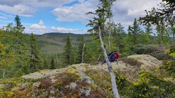 Lauvbuåsen