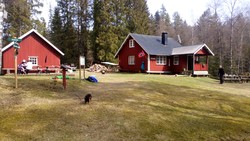 Budalsvika