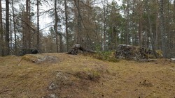 Skardhaug