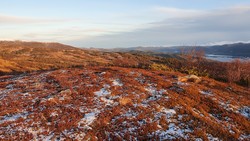 Høgliin