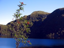 Steingilshøgda