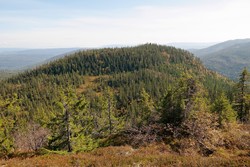 Halsteinrudnatten