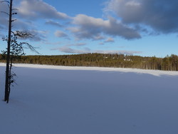 Oksåsen