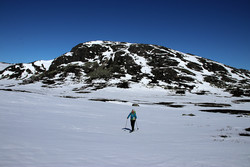 Laksanutane