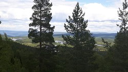 Utsikten