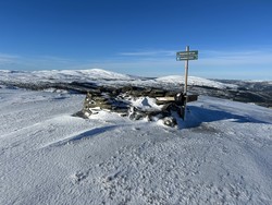 Tørrgranvola