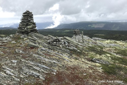 Nysæterkampen