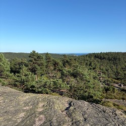 Åmliknuten