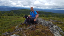 Mittfjell