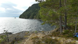 Svartfjelltangen