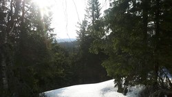 Svartvasshøgda