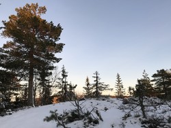 Fiskebekkhøgda