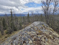 Utsikte
