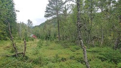 Vetlaheggstølen