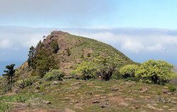 Montaña del Viso