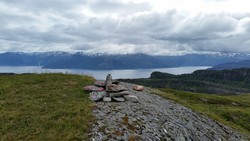 Grånut