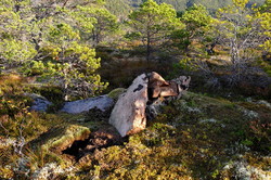 Husfjellet sør