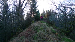 Liahedda