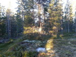 Ringåsen