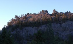 Almedalskollen