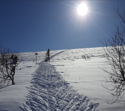 Grofjället