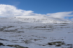 Store Børsjøhø