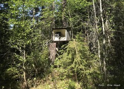 Solbergåsen
