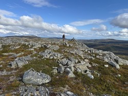 Kongeheia