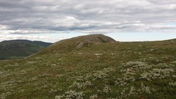 Raudgrovhaugen øst