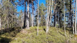 Knivåsen